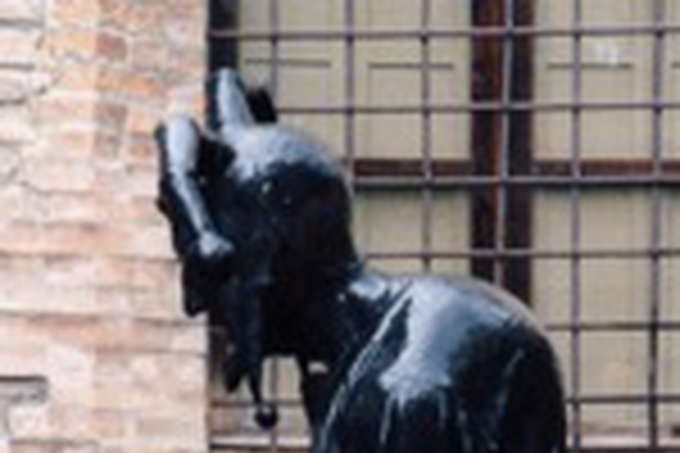 Памятник Риголетто (скульптор – Falchi Aldo) во дворике «Домика Риголетто».
Мантуя (фото автора)